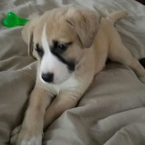 Meet your Posher, Trish